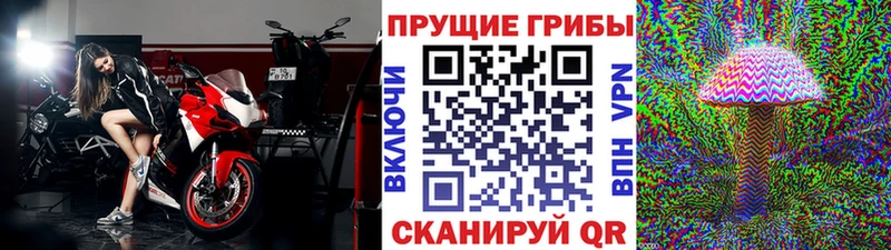 OMG ССЫЛКА  Солигалич  Галлюциногенные грибы ЛСД 